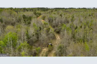 3912 US Highway 82, Morris, GA 39867 - Photo 24