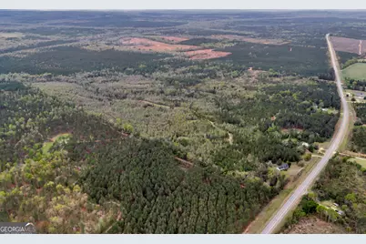 3912 US Highway 82, Morris, GA 39867 - Photo 6