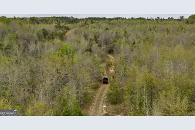3912 US Highway 82, Morris, GA 39867 - Photo 22