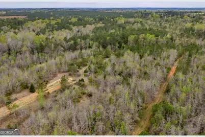 3912 US Highway 82, Morris, GA 39867 - Photo 28