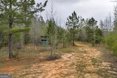 3912 US Highway 82, Morris, GA 39867 - Photo 58