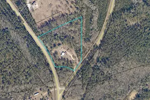 19 Cow Ford Bridge Rd, Adrian, GA 31002 - Photo 22