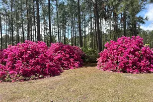 1348 S US Hwy 1, Alma, GA 31510 - Photo 44