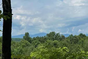 36 78 Ac Old Hwy 76, Morganton, GA 30560 - Photo 1