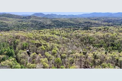 36.78 Ac Old Hwy 76, Morganton, GA 30560 - Photo 12
