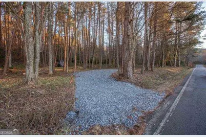 19.25 Ac Old Hwy 76, Morganton, GA 30560 - Photo 2