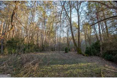 19.25 Ac Old Hwy 76, Morganton, GA 30560 - Photo 8