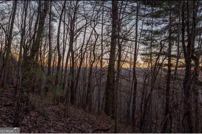 19.25 Ac Old Hwy 76, Morganton, GA 30560 - Photo 4