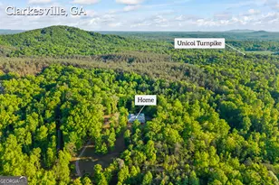 920 Yeoman Lake Rd, Clarkesville, GA 30523 - Photo 86