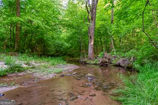 920 Yeoman Lake Rd, Clarkesville, GA 30523 - Photo 8