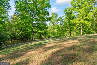 920 Yeoman Lake Road, Clarkesville, GA 30523 - Photo 70