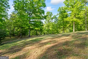 920 Yeoman Lake Rd, Clarkesville, GA 30523 - Photo 70