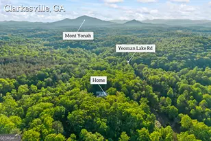 920 Yeoman Lake Rd, Clarkesville, GA 30523 - Photo 94