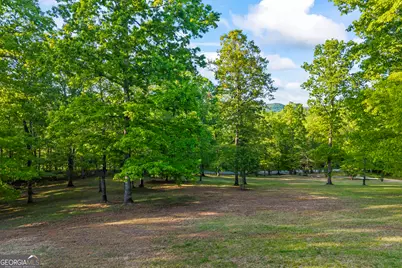 920 Yeoman Lake Road, Clarkesville, GA 30523 - Photo 10