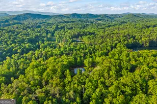920 Yeoman Lake Rd, Clarkesville, GA 30523 - Photo 90