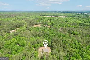 807 Rowe Rd, Senoia, GA 30276 - Photo 32