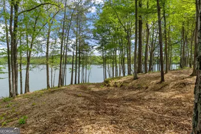 840 Old Driver Road, Whitesburg, GA 30185 - Photo 28