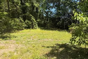 2203 Tiger Flowers Dr NW, Atlanta, GA 30314 - Photo 36