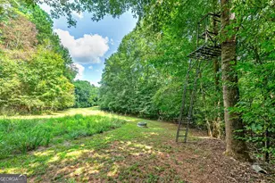 3112 Hwy 155 N, McDonough, GA 30252 - Photo 22