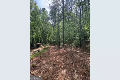 4652 Woodlane Drive, Oakwood, GA 30566 - Photo 20