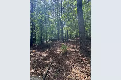 4652 Woodlane Drive, Oakwood, GA 30566 - Photo 18