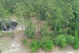 1306 Vic Waters Rd, Townsend, GA 31331 - Photo 8
