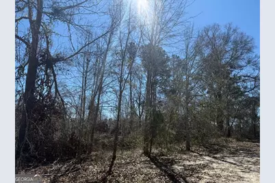 0 Wragler Trail (Lot), Hazlehurst, GA 31539 - Photo 2