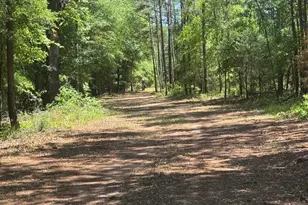 4008 Horseshoe Rd, Dawson, GA 39842 - Photo 14