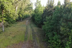 1525 Telfair Line Rd, Rhine, GA 31077 - Photo 72