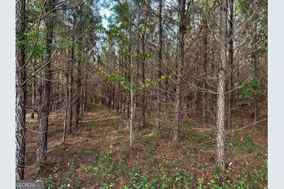 1525 Telfair Line Road, Rhine, GA 31077 - Photo 66