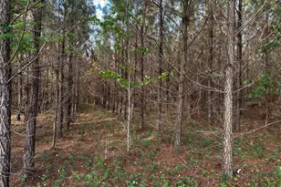 1525 Telfair Line Rd, Rhine, GA 31077 - Photo 66