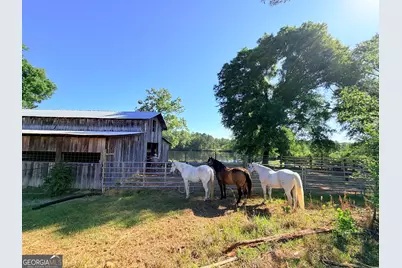 1525 Telfair Line Road, Rhine, GA 31077 - Photo 44