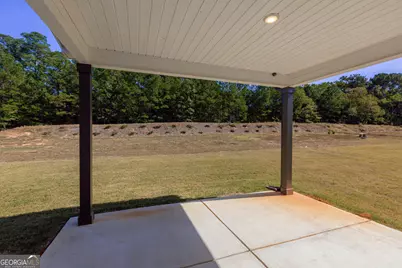 316 Hammerstone Court, Senoia, GA 30276 - Photo 30