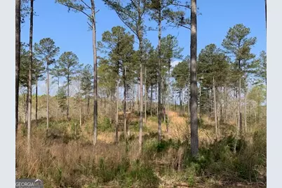 0 Veterans Drive, Danielsville, GA 30633 - Photo 30