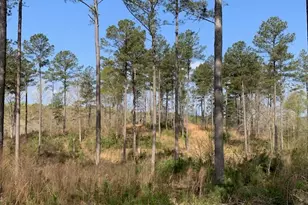 0 Veterans Dr, Danielsville, GA 30633 - Photo 30