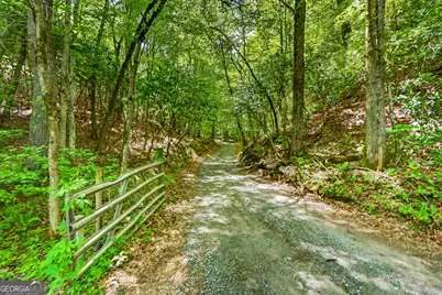 1171 Dogwood Lane, Mineral Bluff, GA 30559 - Photo 6