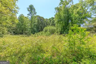 669 Chandler Rd, Chickamauga, GA 30707 - Photo 94