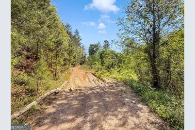 80 Acres Valley Lake Road, Mineral Bluff, GA 30559 - Photo 34