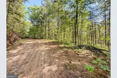 80 Acres Valley Lake Road, Mineral Bluff, GA 30559 - Photo 46