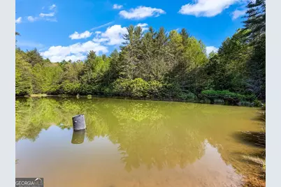80 Acres Valley Lake Road, Mineral Bluff, GA 30559 - Photo 20