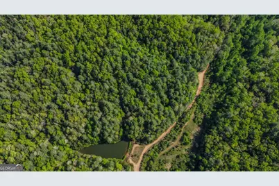 80 Acres Valley Lake Road, Mineral Bluff, GA 30559 - Photo 4
