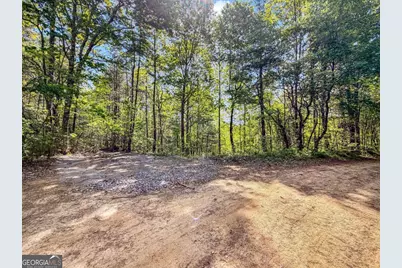 80 Acres Valley Lake Road, Mineral Bluff, GA 30559 - Photo 14