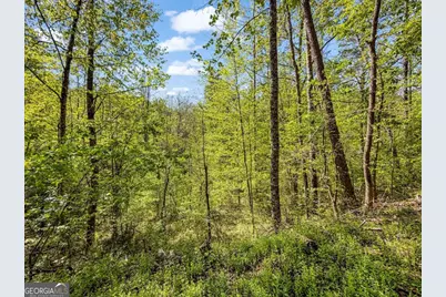 80 Acres Valley Lake Road, Mineral Bluff, GA 30559 - Photo 18