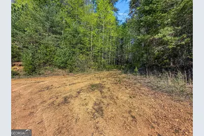80 Acres Valley Lake Road, Mineral Bluff, GA 30559 - Photo 26