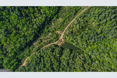 80 Acres Valley Lake Road, Mineral Bluff, GA 30559 - Photo 50