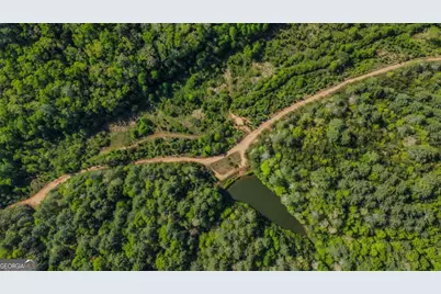 80 Acres Valley Lake Road, Mineral Bluff, GA 30559 - Photo 36