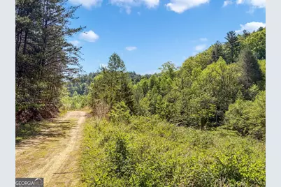 80 Acres Valley Lake Road, Mineral Bluff, GA 30559 - Photo 52