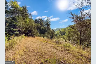 80 Acres Valley Lake Road, Mineral Bluff, GA 30559 - Photo 6