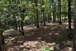 167 Nugget Ridge Rd, Dawsonville, GA 30534 - Photo 4