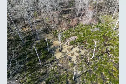 1298 Days Avenue, Morris, GA 39867 - Photo 10